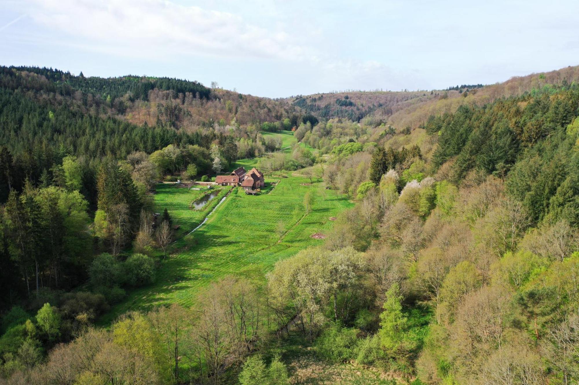 Maison D'Hotes De Charme - Ancien Moulin En Pleine Nature - La Paulusmuehle Soucht 외부 사진