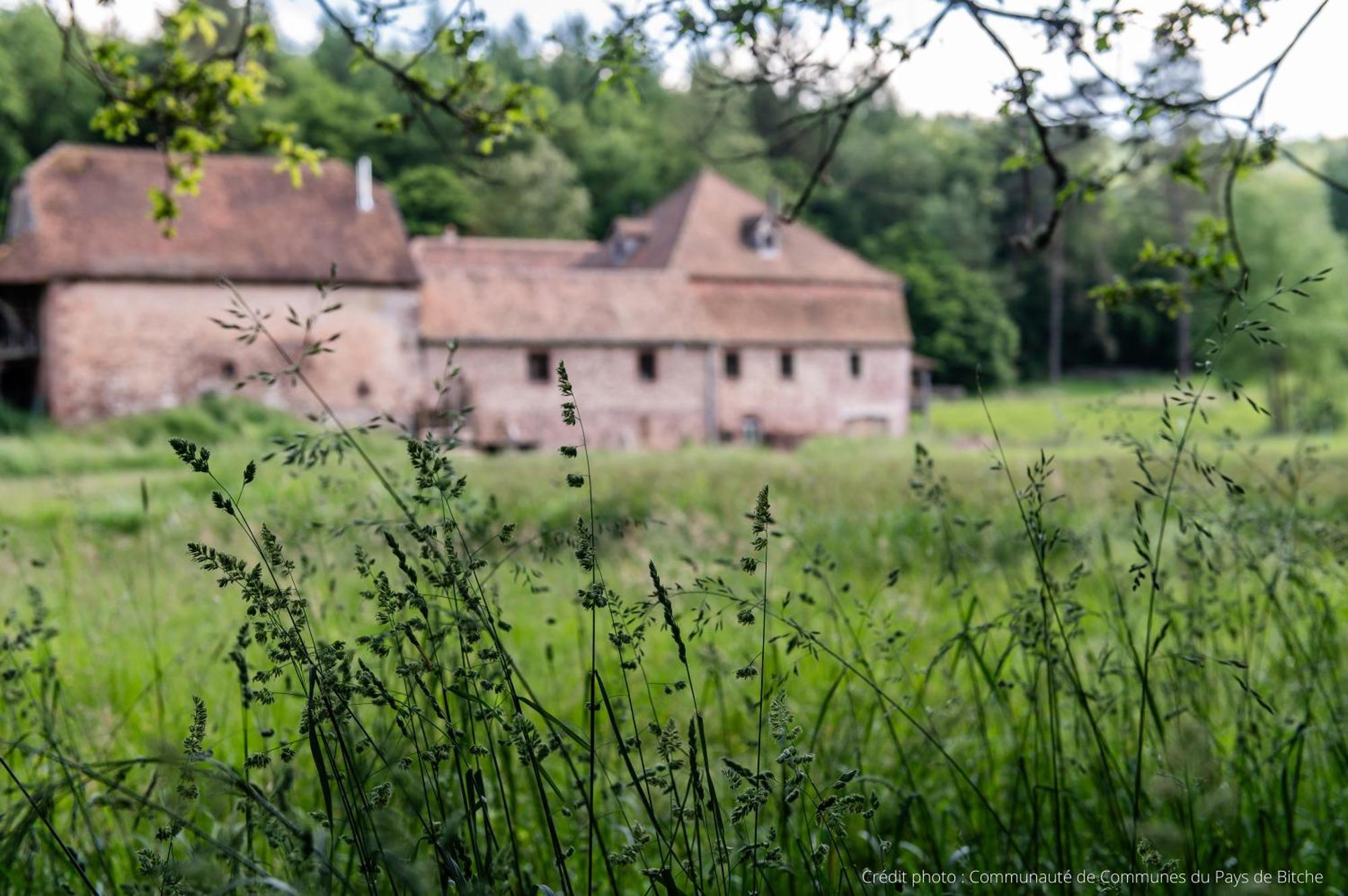 Maison D'Hotes De Charme - Ancien Moulin En Pleine Nature - La Paulusmuehle Soucht 외부 사진