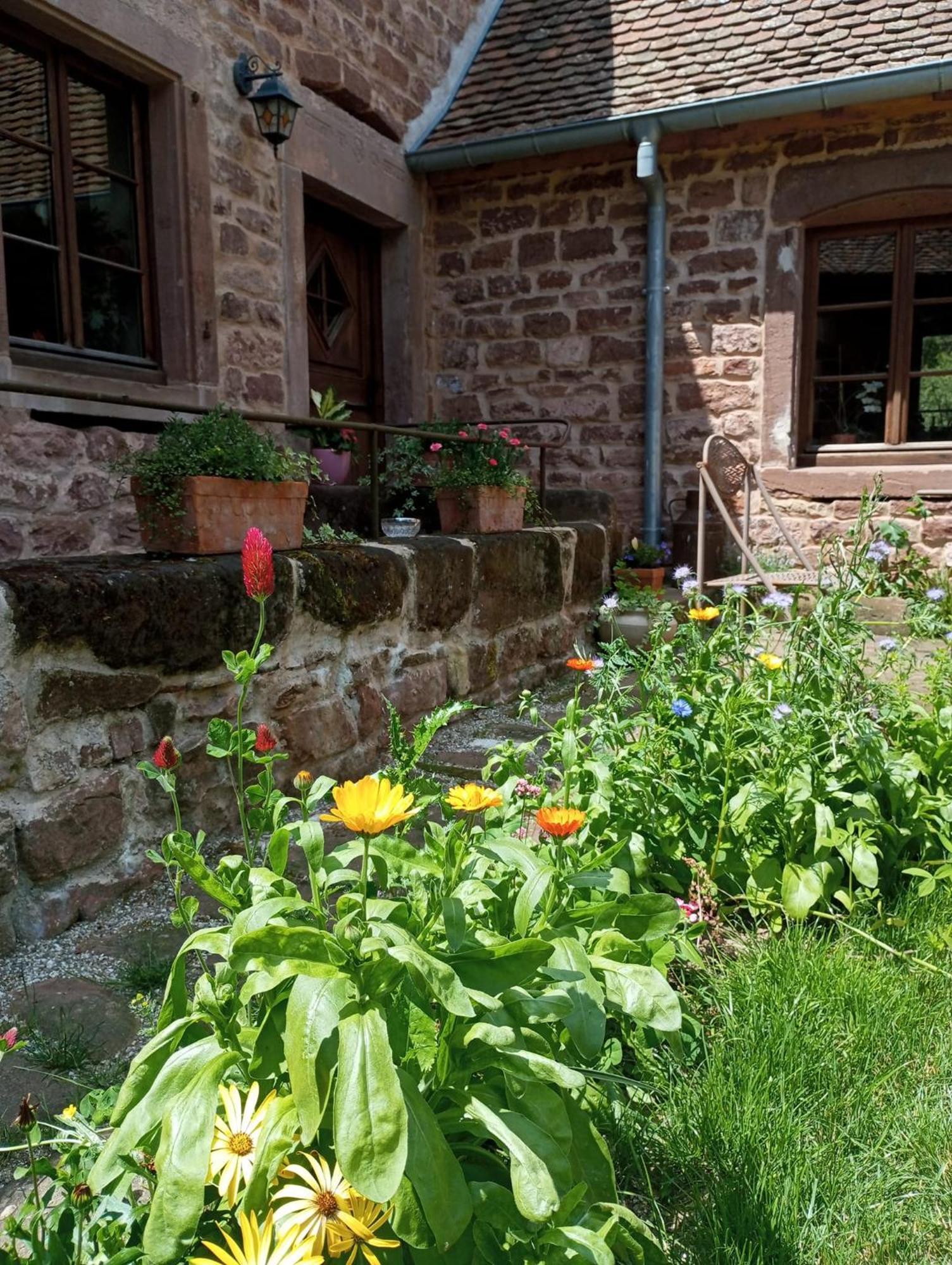 Maison D'Hotes De Charme - Ancien Moulin En Pleine Nature - La Paulusmuehle Soucht 외부 사진